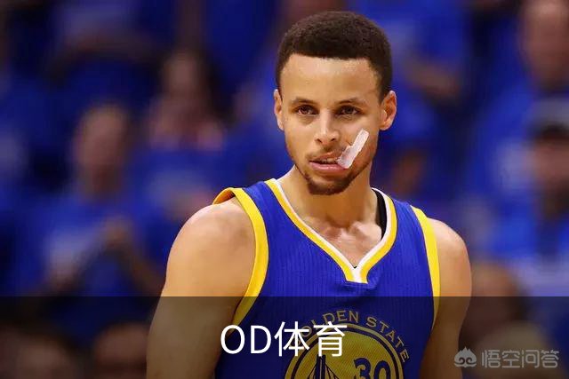 OD体育公司简介配图